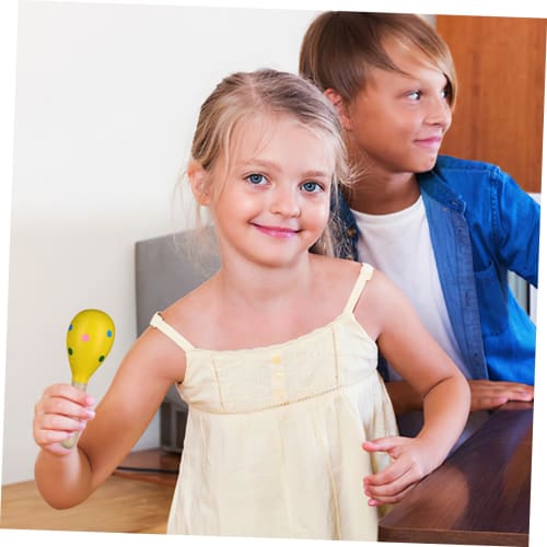 VICASKY Maracas Toys, Wooden Musical Instruments for Kids, Shakers, Sand Hammers, Percussion Instruments, Party Supplies, Games, Props, 10 Pieces, Ran