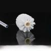 Eco-Friendly White Round Toilet Cleaning Brush with Separate Head