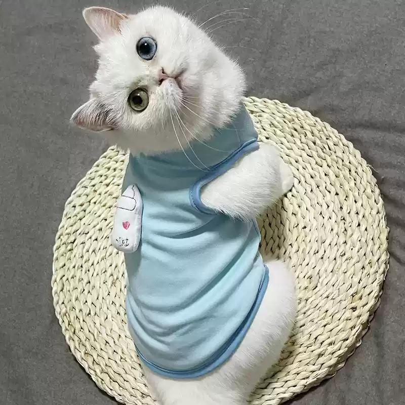 Pet Clothes Cat Vest for Persian Cat Siamese Kitten Spring Autumn Thin Teddy Bear Schnauri Dog Clothes Summer Small Dog Tank Top