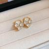 Silver Needle Cross-Border Tassel Earrings: Women's Versatile, Stylish Studs with a Unique, Trendy Design.