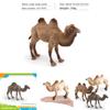Desert Animal Pvc Figurine Twin Hump Camel Static Decor For Children Learning Play