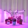 Fernbedienung LED Pflanzenwachstum Mehrkopf-Clip Pflanzenlampe Blumen-Timing Vollspektrum Tisch Sukkulenten Fülllicht