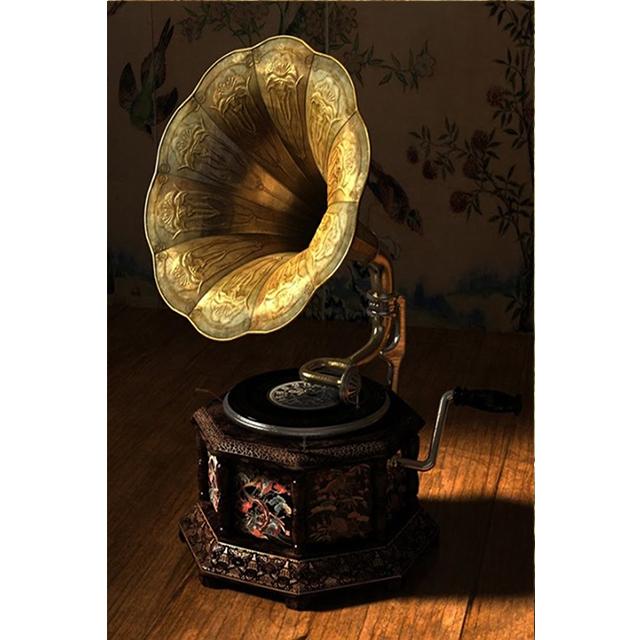 Vintage Phonograph Bild Gemälde für Wohnkultur Retro Musikalische Kunst Poster An Der Wand Rahmenlose Schlafzimmer Dekor Kein Rahmen