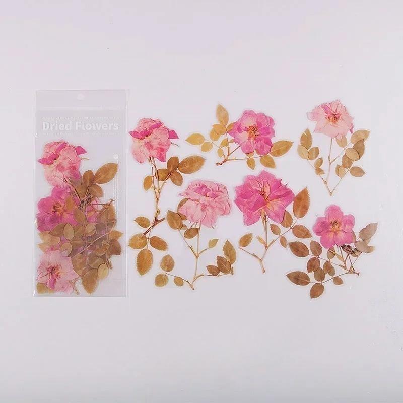 6pcs Vintage Dried Flower PET Sticker Decorative Diary Craft Scrapbook Planner Journal  Aesthetic Stationery