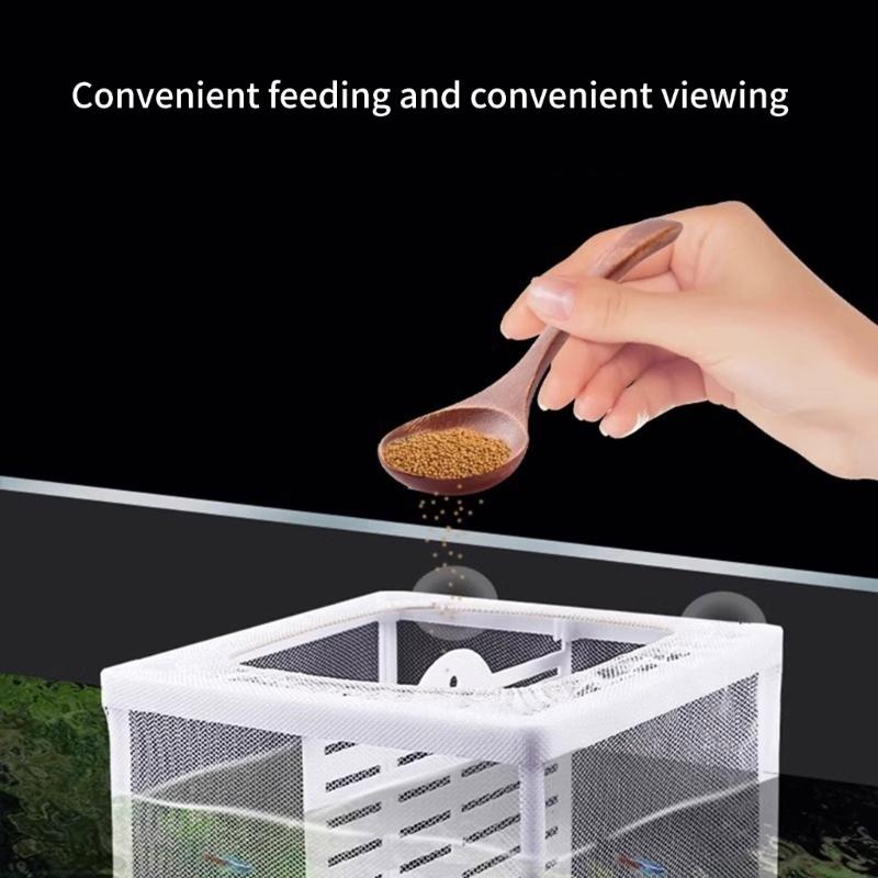 2PCS Aquariums Spawning Box Isolation Container For Fish Breeding Safe Separation Of Aggressive Species And Newborns Fry
