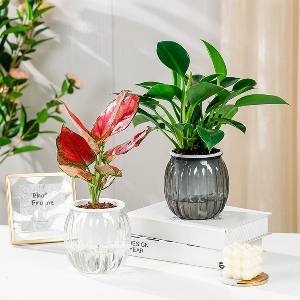 Clear Self Watering Planters Pots Modern Transparent Plants Care Pots for Garden Enthusiast Lover Gift