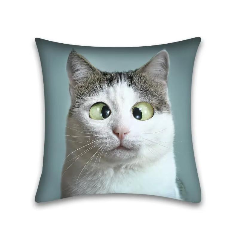Double Sided Cartoon Cat Pillow Case Anime Animal Small Gift for Friends and Pop Culture Lovers Present
