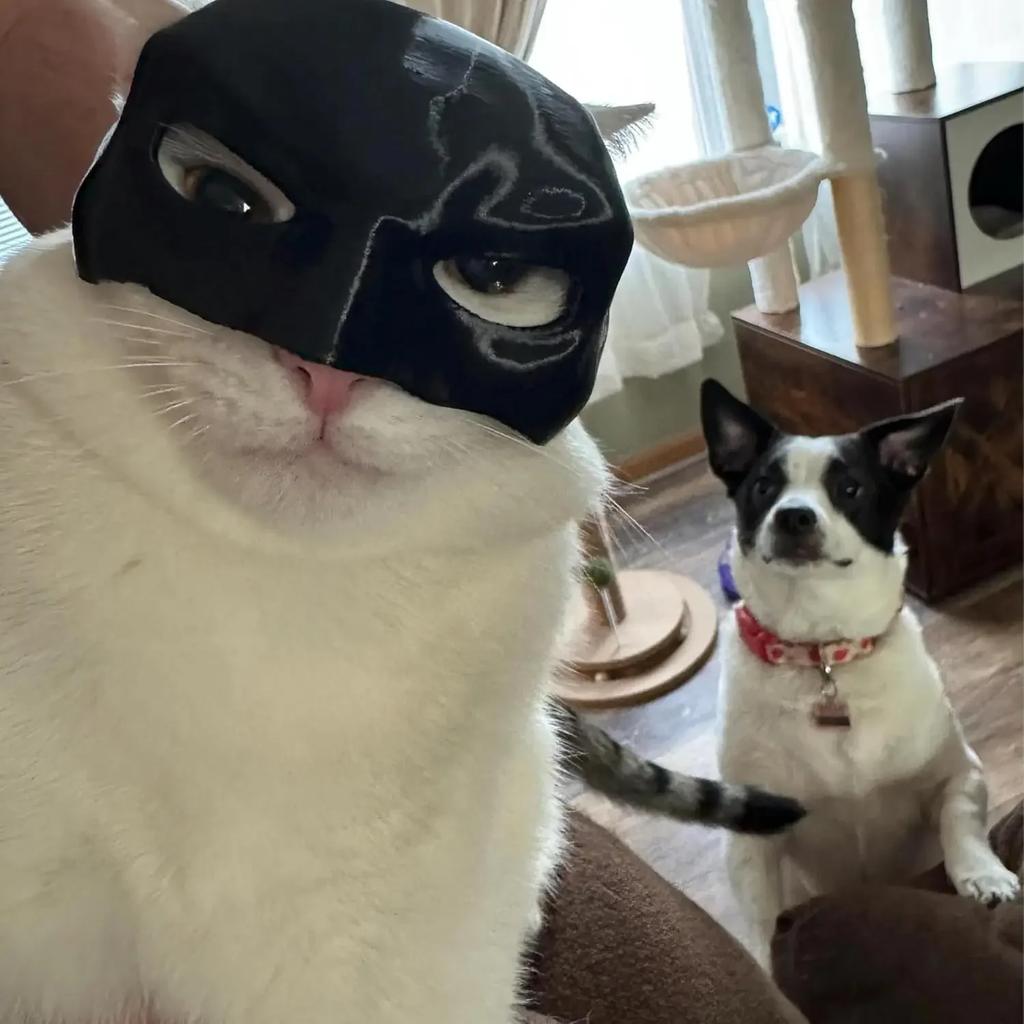 Cat Bat Cool Man Mask Cat Avenger Mask Matte Cute Bat Mask Superhero Toys Cat Bat Halloween Costume For Cats Pet Supplies