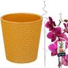 Set Of Mustard Pot 11 Cm With Transparent Spiral Support 58 Cm For Flowers Pot Support For Plants Set For Orchids