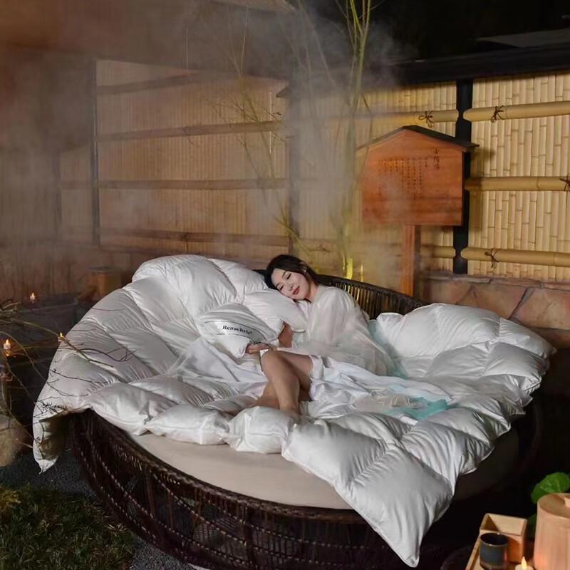 Impression Collection Warm Winter White Goose Down Comforter