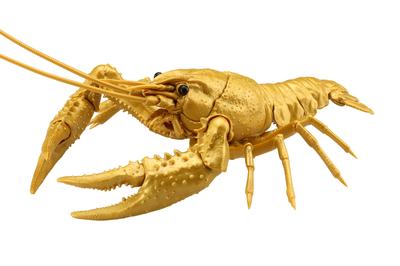 Free Research Series Creatures American Crayfish Plastic Model No.24 EX-5 (Gold)
