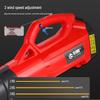 Lichen 48V Lithium Electric Backpack Handheld Blower CN plug (adapter included)