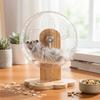 Transparent Hamster Exercise Wheel Adjustable Height Sturdy Silent Running Wheel Thickened Wooden Stand Pet Exercise Toy