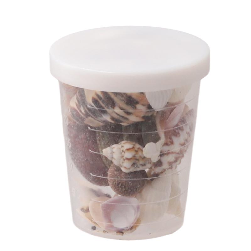 1 Sada DIY Doplňků DIY Šperky Materiály Akvarijní Krajina Miniaturní Mušle Mini Mušle Oceánský Styl Různé