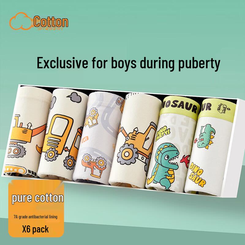 Boys  Pure Cotton Boxer Briefs (6-Pack) 2XL