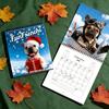 Französische Bulldogge Kalender 2026 Januar 2026 - Dezember 2026 12 Monatskalender Lustiger Frenchie Wandplaner für Zuhause Büro
