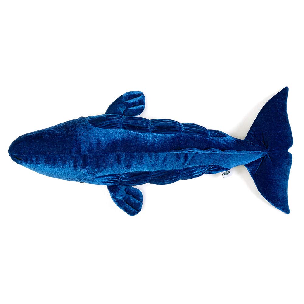 Carolata Sperm Whale Plush Toy (62 x 27 x 14cm  Soft to the Touch) Realistic Whale Animal Toy Doll Gift Present Birthday (Twice Tested)  Christmas