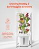 Hydroponic Growing System with Grow Light, 30 Pods Vertical 6 Tiers Hydroponic Tower, Home Hydronic Garden with Water Pump, Plants Germination Kit for