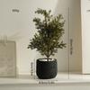 Decorative Artificial Potted Plant Small Size, Nordic Style Faux Green Bonsai for Indoor Desk Decor