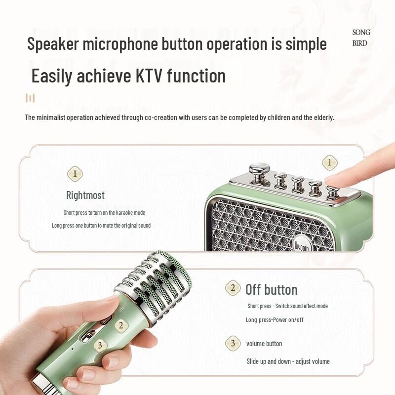 Divoom S-SongBird Home KTV Bluetooth Speaker with Dual Microphones