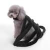 Hot-Selling Halloween Pet Costume: Funny Bat Ride-On for Dogs & Cats