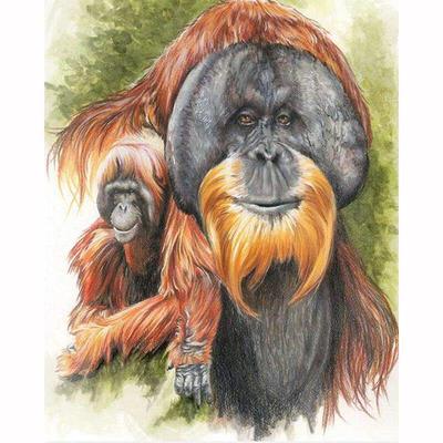 Complet 5D Diy Diamant Pictură Desene Animat Animal Urangutan Broderie Cusatura de Cruce Decor Home Handmade