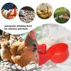 5/50 PEZZI Tazza per bere il pollo Bevitore automatico Mangiatoia per polli Mangiatoia per l'acqua Ciotola per bere Mangiatoia per l'acqua per pulcini Anatra Oca Quaglia