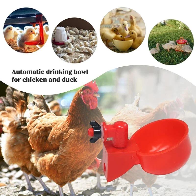 5/50 PEZZI Tazza per bere il pollo Bevitore automatico Mangiatoia per polli Mangiatoia per l'acqua Ciotola per bere Mangiatoia per l'acqua per pulcini Anatra Oca Quaglia