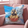 with you and the rain tanuki Cushion Cover Multi-Scene Pillow Cover for Home & Car - Reversible, Soft & Durable for Daily Use