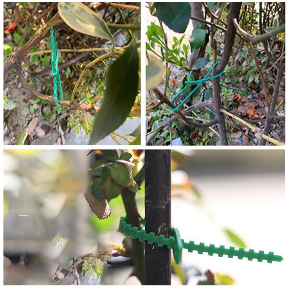100pcs Adjustable Plant Cable Ties Reusable Cable Ties for Garden Tree Climbing Support Plant Vine Tomato Stem Clip
