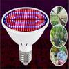 E27 Led Plant  Growth  Light Full Spectrum Led Bulb Plant Growth Light 48/60/80LED
