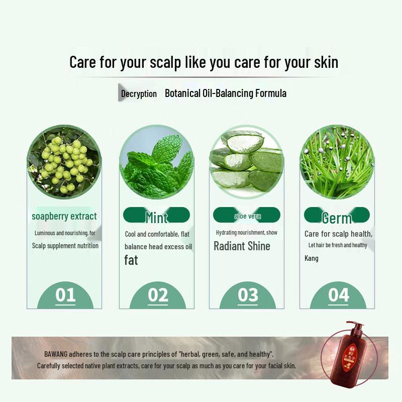 Bawang Sapindus Balanced Oil Control Shampoo