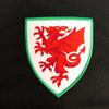 Wales Cymru Mens Bale 11 Polyester T-Shirt