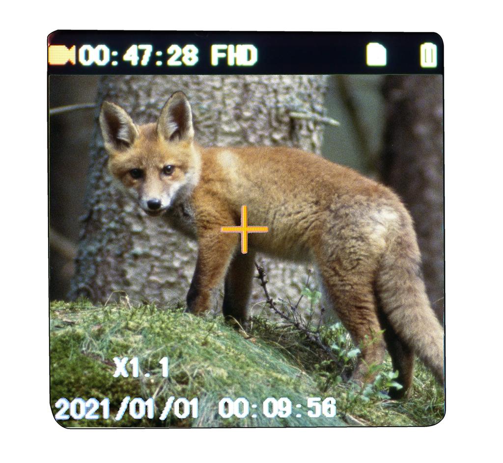 Kiyoraka Infrared Night Vision Handheld Camera for Recording and Shooting in the Magnifying Black AH-C01 Dark, One-Handed, Glass,