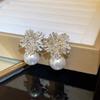 Exquisite Diamond-Set Fireworks Flowers Exaggerated Design Earrings Fashionable And Versatile Niche Simple Cold Wind Temperament Earrings