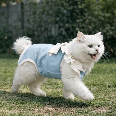 Katzen – Kleidung für Katzen
