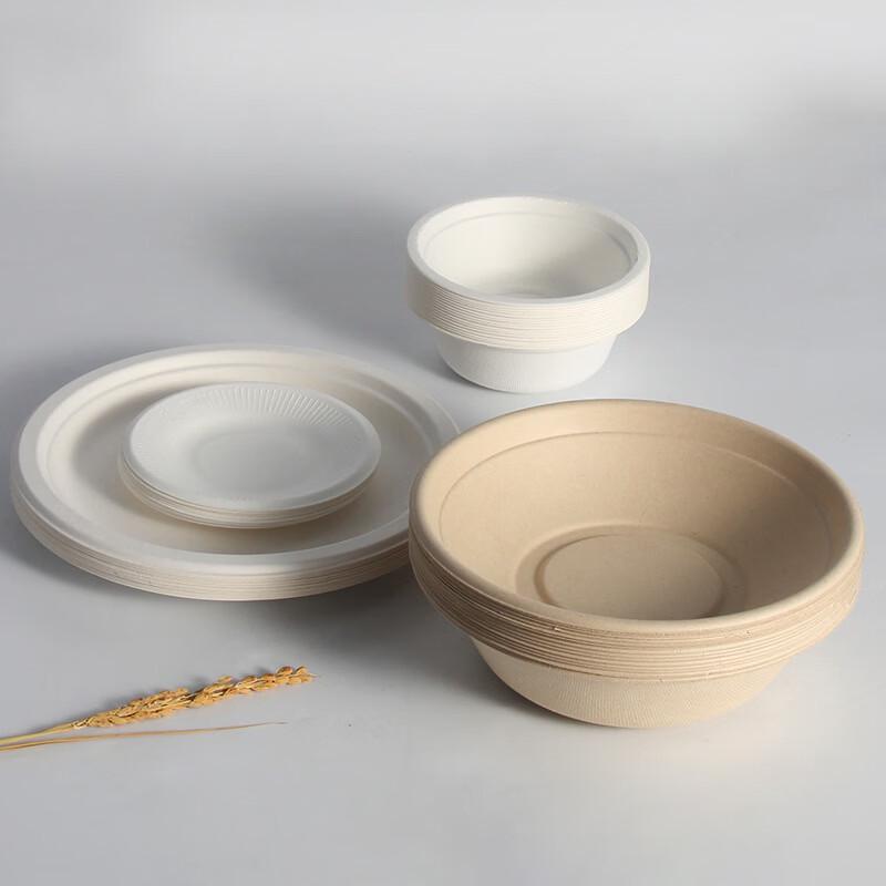 Biodegradable Sugarcane Pulp Disposable Round Plates