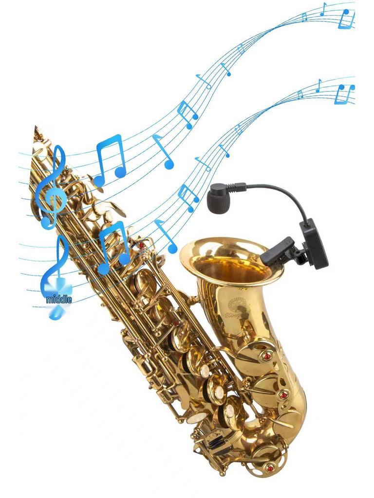 Saxophone & Erhu Wireless Microphone for Professional Outdoor Stage Performances