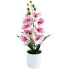 Artificial Orchid In Clean-Line Round Pot for Residential Commercial Indoor Decor For Home Office Cafe Setting