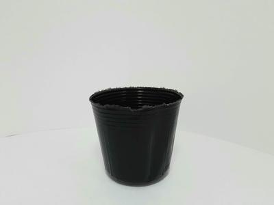 Meiwa Polypot Kuromaru 100 tk 7,5 cm [kaup]