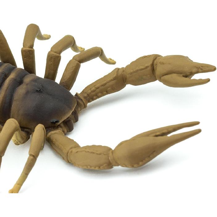 Safari Ltd. Scorpion Figurine - Realistic 7.5" Arachnid Figure - Educational Toy for Boys, Girls, and Kids Ages 3+