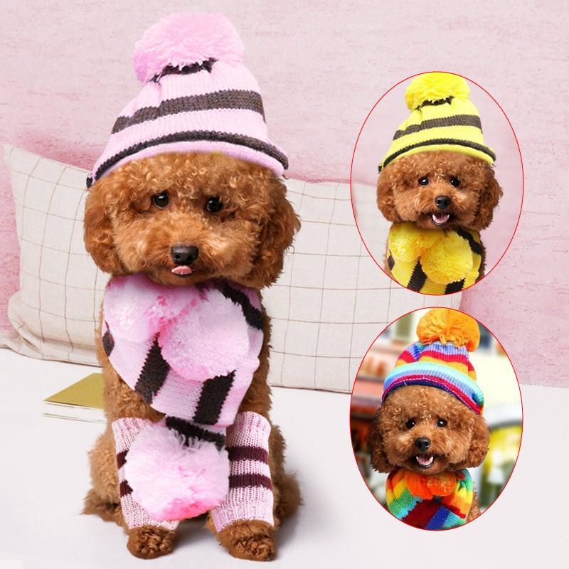 Pet Winter Warmth Set: Knitted Hat Scarf Paw Covers Small Dogs Cats Rainbow Pink Brown Yellow