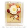 Hair ornament 2 piece set furisode coming of age ceremony chrysanthemum mizuhiki white red wk-335