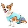 Hunde Kühlweste Atmungsaktive Hunde Kühljacke Leichte Haustier Kühlshirt für Sommer Outdoor