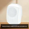 Tianlai TL-G63 Waterproof Wall-Mounted Indoor/Outdoor Dual-Use Speaker