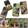 Wildschwein Schwein Handyhülle für Samsung Galaxy A36 A17 A26 A07 A35 A54 A53 A13 A33 A34 S8 S9 S20 S21 FE S10 Plus Hülle