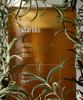 Starlike Rosemary 68 Skin Biome Essence 100ml