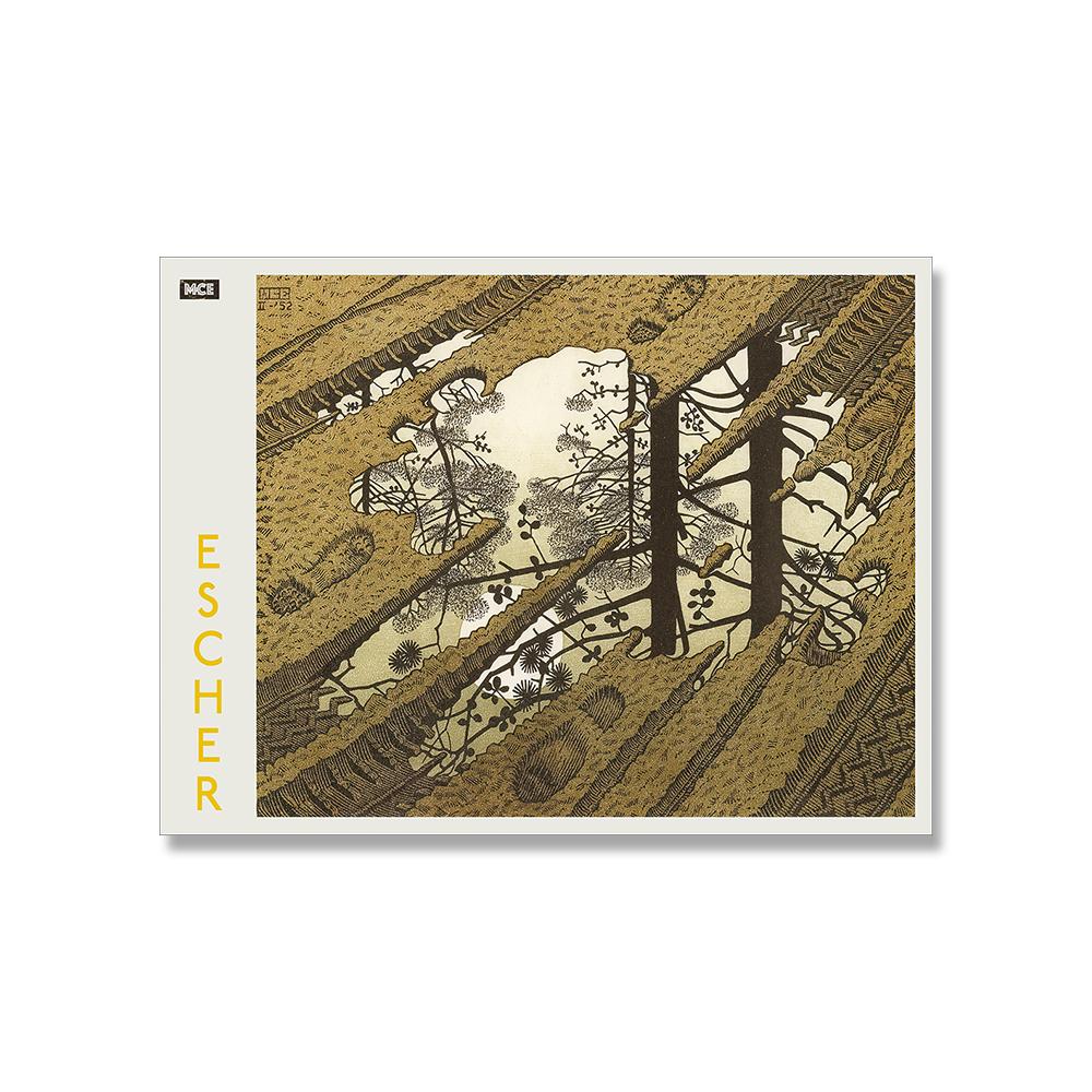 

М.К.. Эшер Сюрреалистическое искусство Выставка абстрактный постер холст печать художественное произведение холст картина настенное искусство картина для комнаты домашний декор 40x50cm No Framed