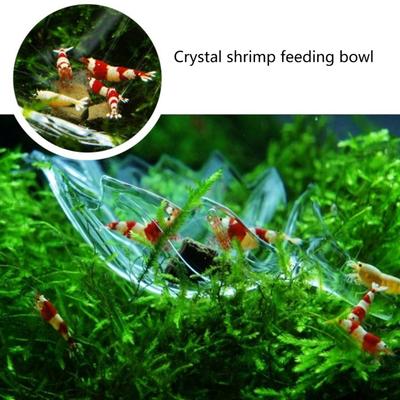 Clear Fish Tanks Feeding Bowl For Concentrated Shrimp Food Placement And Waste Prevention Acrylic Feeder Tray Dish