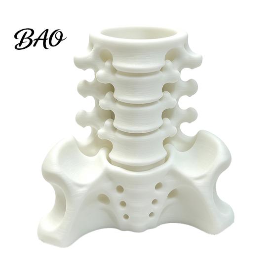 Realistic Pelvis Base Simulated Spine Pen Holder, Creative Skeleton Desktop Organizer, Durable Organizer PLA 3D Printed Anatomy Ornament for